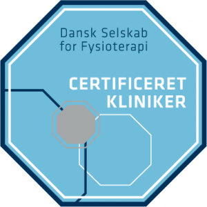 Danske selskab for fysioterapi